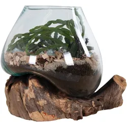 Vase San Marino Waterdrop Transparent/Teakfarben