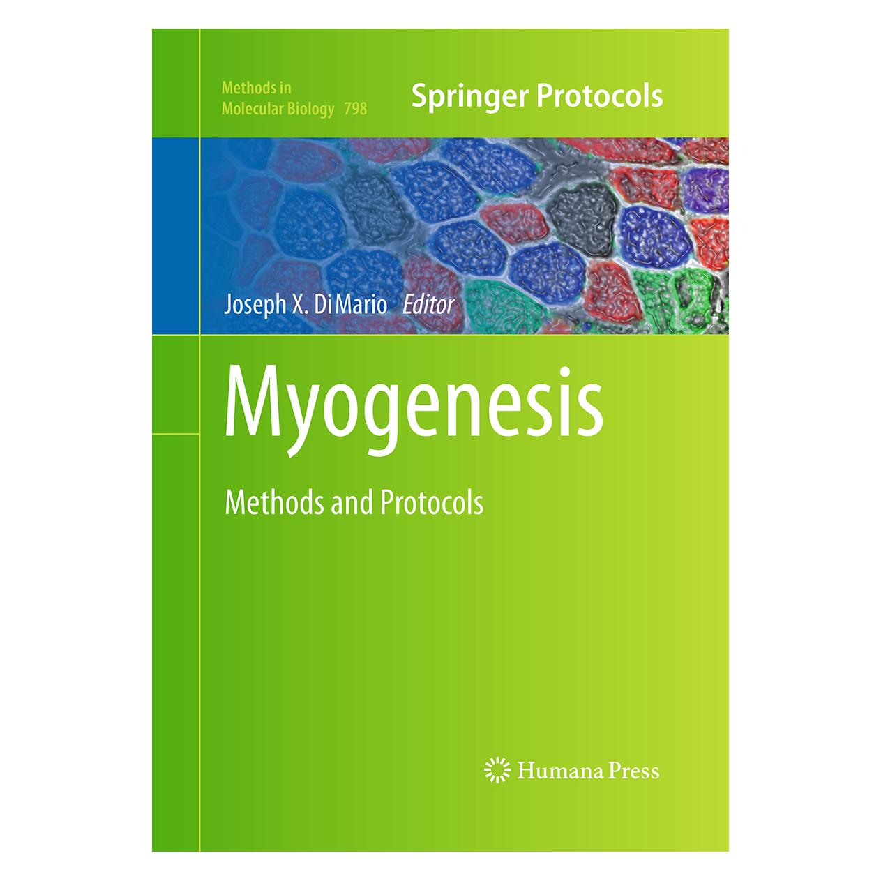 Springer Myogenesis (Englisch, Softcover, Joseph X. DiMario) (55965737)