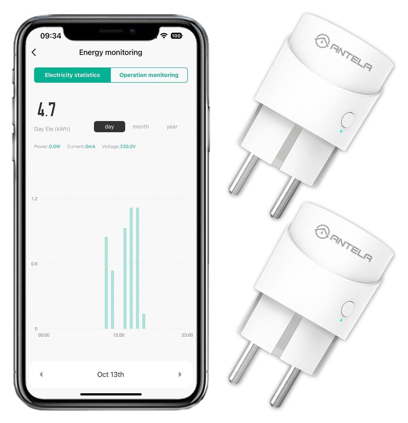 Smart Plug 10A Mini Slimme Stekker 2500W met Energiemeter