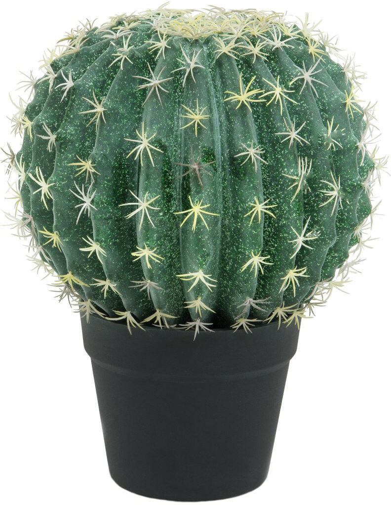 Europalms Kugelkaktus, 34cm