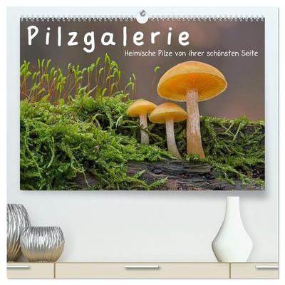 Pilzgalerie - Heimische Pilze von ihrer schönsten Seite (hochwertiger Premium Wandkalender 2027 DIN A2 quer), Kunstdruck in Hochglanz