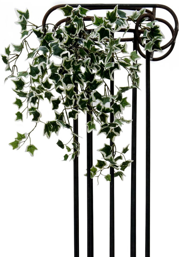 Europalms Holland-Efeubuschranke Classic, 60cm