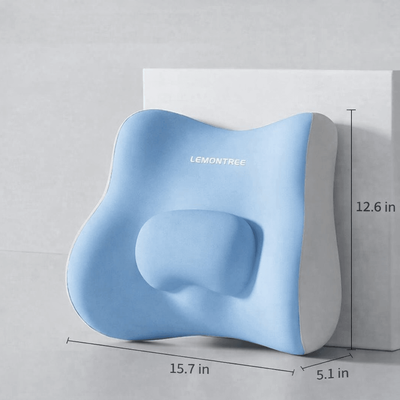 Uplifted Trends Ergonomic Lumbar Support Pillow Memory Foam Back Cushion For Office Chair Comfort & Posture Relief blue