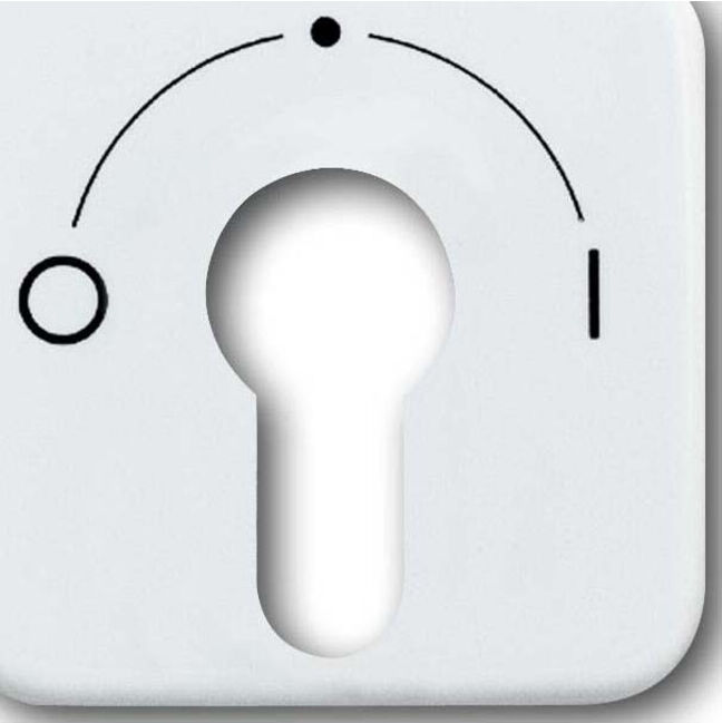 Busch-Jaeger Rosace centrale aws pour interrupteur à clé 2557 SLPZ-214-101 (2CKA001710A1456)