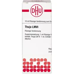 Thuja Lm Vi