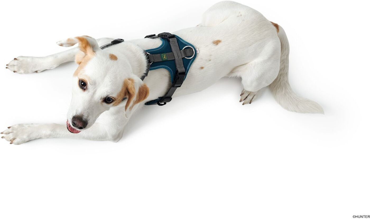 DOG SPORT HUNTER Geschirr Maldon XS, petrol/grau