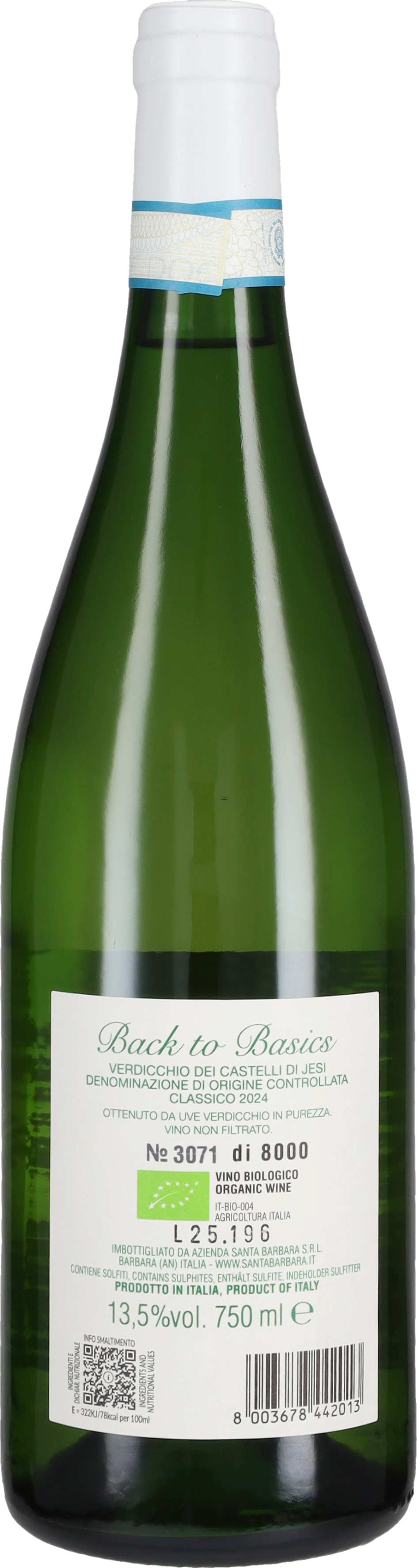 Verdicchio dei Castelli di Jesi 'Back to Basic' Santa Barbara 2025
