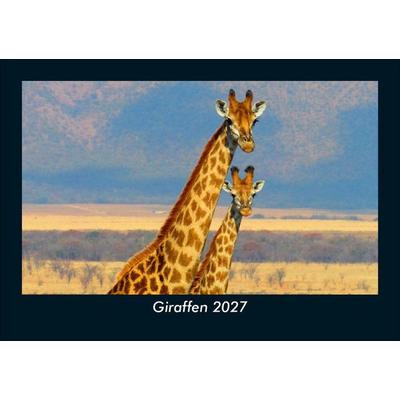 Giraffen 2027 Fotokalender DIN A5