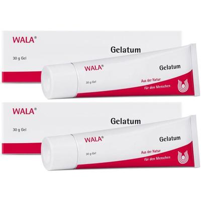 Echinacea/Viscum comp.Gelatum 2x 2x30 g Gel