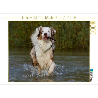 CALVENDO Puzzle Ein Motiv aus dem Kalender Bekannt wie ein bunter Hund. Australian Shepherd - Familienplaner hoch | 1000 Teile Lege-Größe 64x48cm Foto