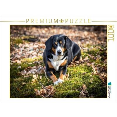 CALVENDO Puzzle Herbstlich mit dem Entelbucher Sennenhund | 1000 Teile Lege-Größe 64x48cm Foto-Puzzle für glückliche Stunden, Sonstige von , Calvendo