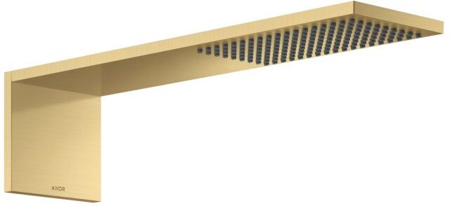 Hansgrohe ShowerComposition Kopfbrause 12592250 110x220mm, Wandmontage, 1jet, brushed gold optic