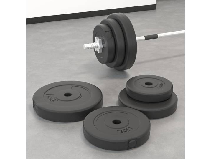 vidaXL Hantelscheiben 6 Stk. 30 kg Zement