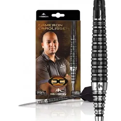 Mission Cameron Carolissen RP Steeldarts