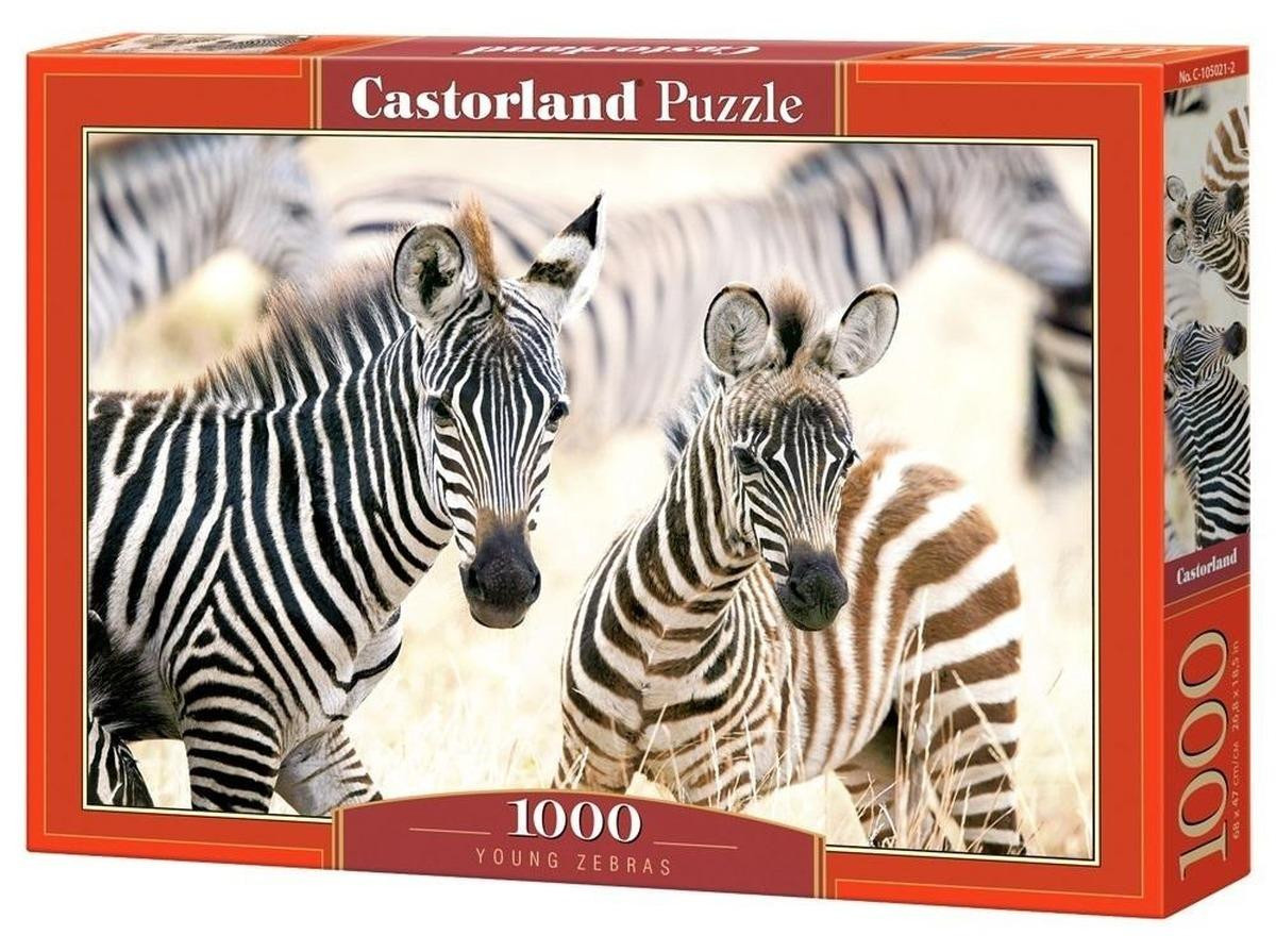 Castorland Puzzel Young Zebras 1000 stukjes