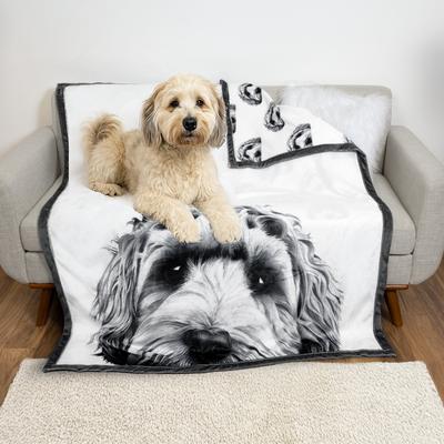 Pavilion Reversible Plush Dog Blanket