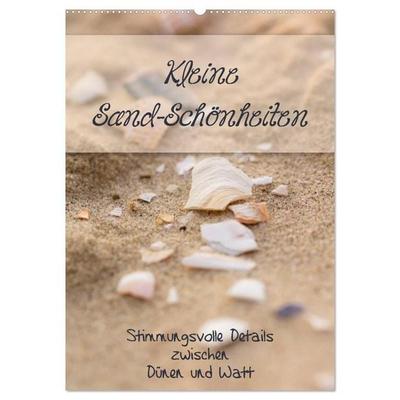 Kleine Sand-Schönheiten / Familienplaner (Wandkalender 2027 DIN A2 hoch), CALVENDO Monatskalender
