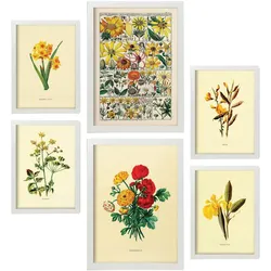 POSTER Set Mit 6 Gelbe Blumen In Vintage A3 & A4 Weißer Rahmen
