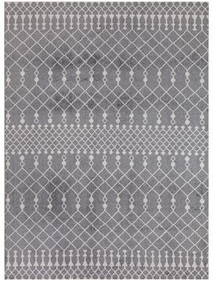 Nourison Astra Machine Washable Moroccan Area Rug