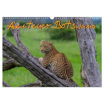 Abenteuer Botswana Afrika - Adventure Botswana (Wandkalender 2027 DIN A3 quer), CALVENDO Monatskalender