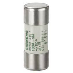 Siemens 3NW82071 Zylindersicherungseinsatz 20 A 690 V 10 St.