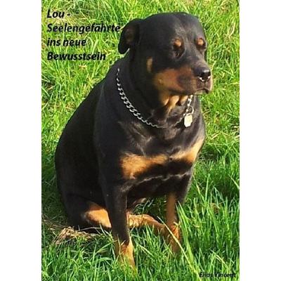 Lou - Seelengefährte ins neue Bewusstsein, Taschenbuch von Elias Vincent, Epubli, 978-3-7485-1856-3