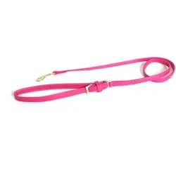 Martin Sellier Carla (12, Hund, Allgemein, Spazieren), Halsband + Leine