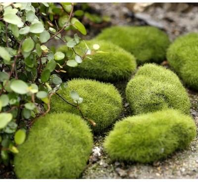 Inspire Select Enchanted Mini Fairy Garden Figurines Set Whimsical DIY Fairy Garden Accessories For Miniature Landscaping & Dollhouse moss Stone 1 Pc