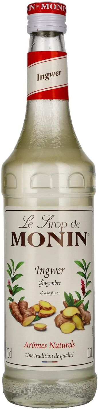 Le Sirop de Monin INGWER 0,7l