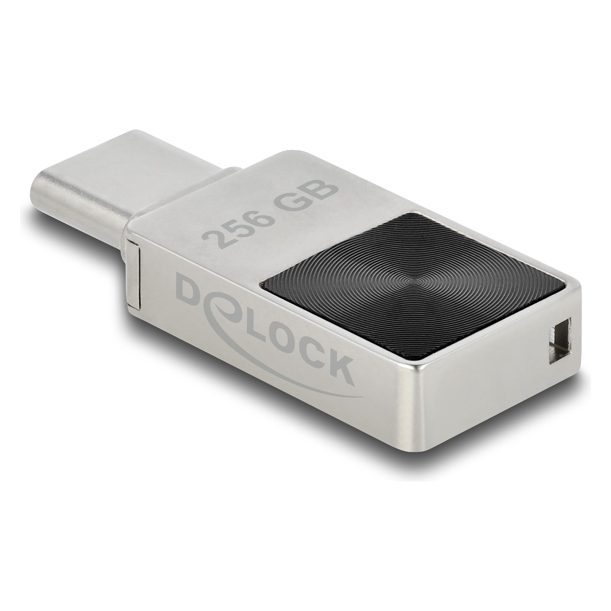 Delock Mini (256 GB, USB-C) (54009)