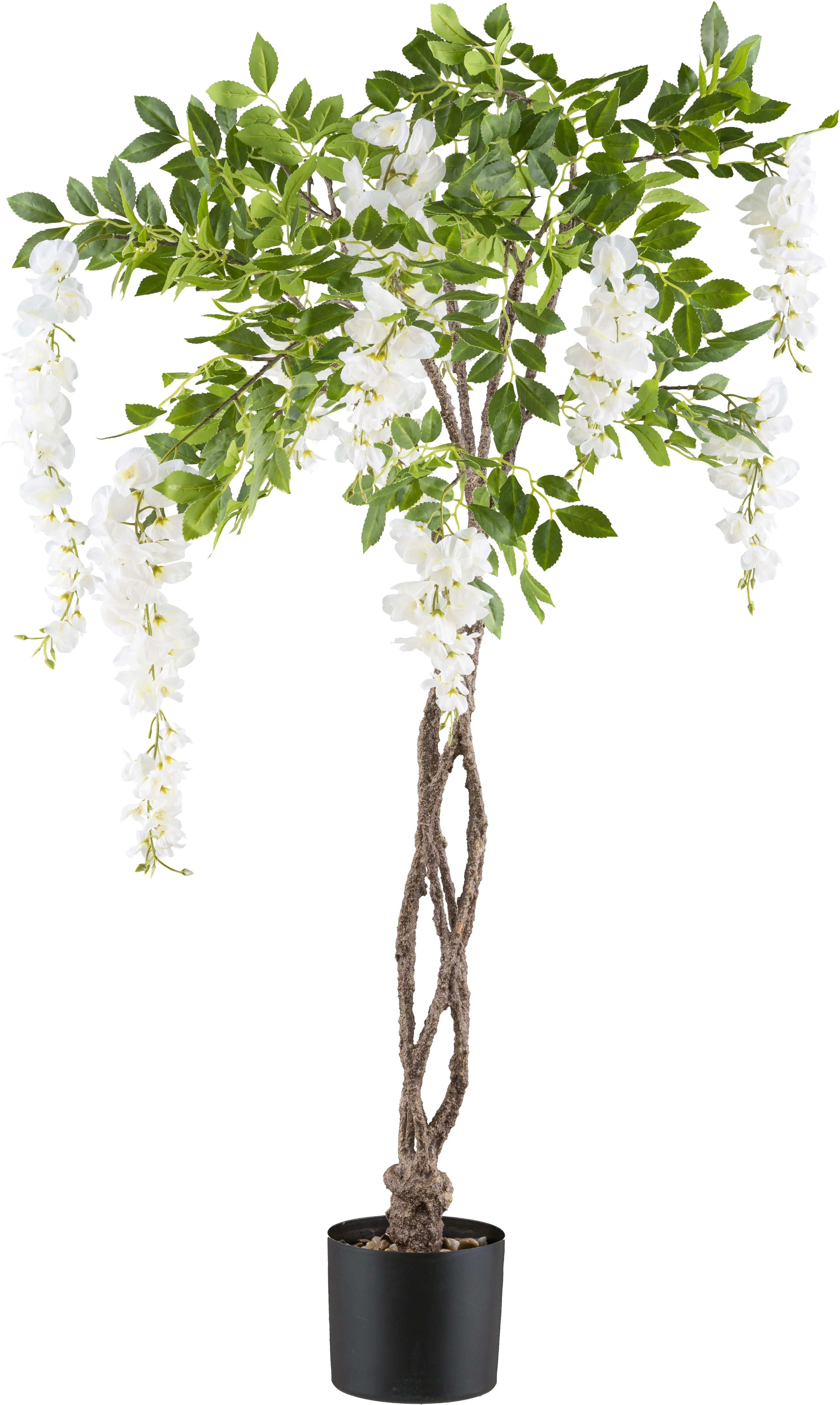 Kunstbaum CREATIV GREEN "Weißer Blauregen", weiß, H:115cm, Kunststoff, Kunstpflanzen, Kunstbaum, mit geflochtenem Stamm