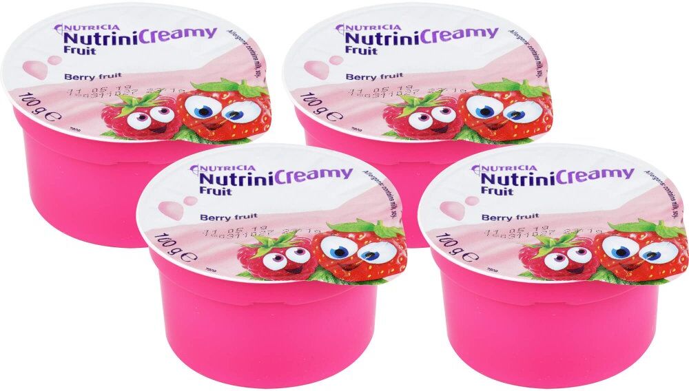 Nutrini Creamy Fruit Beerenfrüchte