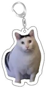 DynamicDeals Funny Cat Meme Keychain Cute Bag Charm Gift For Cat Lovers & Best Friends style 4