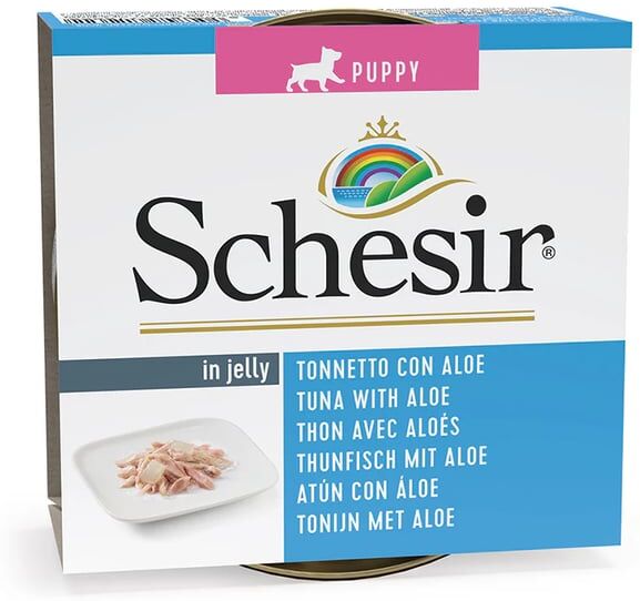 Schesir Dog Puppy Lata Atum com Aloe em Geleia 10 unid x 150g