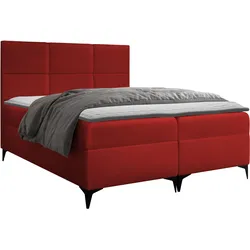 BOXBETT Fava - H3