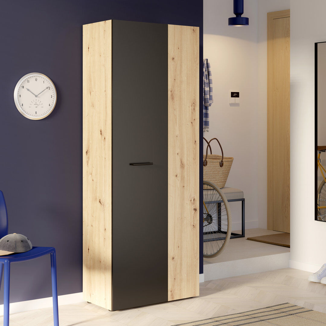 17 Stories Shilu 18 Pair Shoe Storage Cabinet Black/Oak 18
