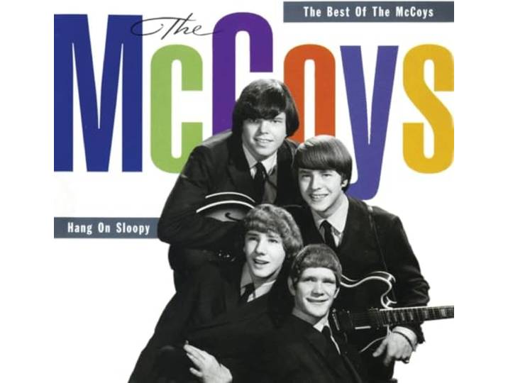 McCoys - Hang On Sloopy