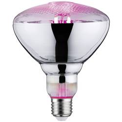 Paulmann LED-Pflanzenlampe Wachstum 230 V E27 6.5 W Bernstein 1 St. 28737