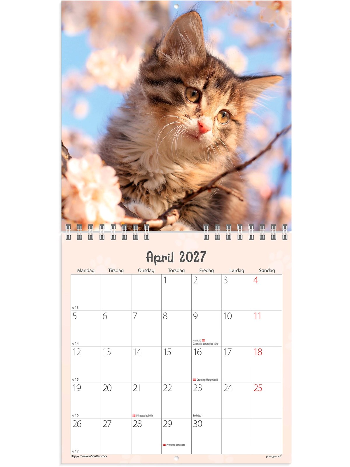 Mayland Vægkalender mini Kattekillinger 2027