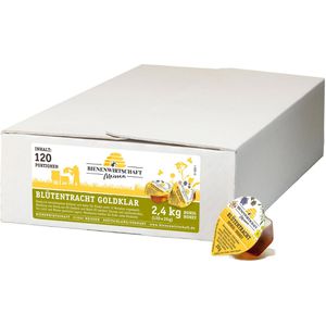Bienenwirtschaft-Meissen Honig Blütentracht, flüssig, Portionspackungen, 120x 20 g