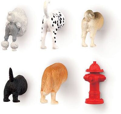 Kikkerland - Dog Butt Magnets 6 Per Set