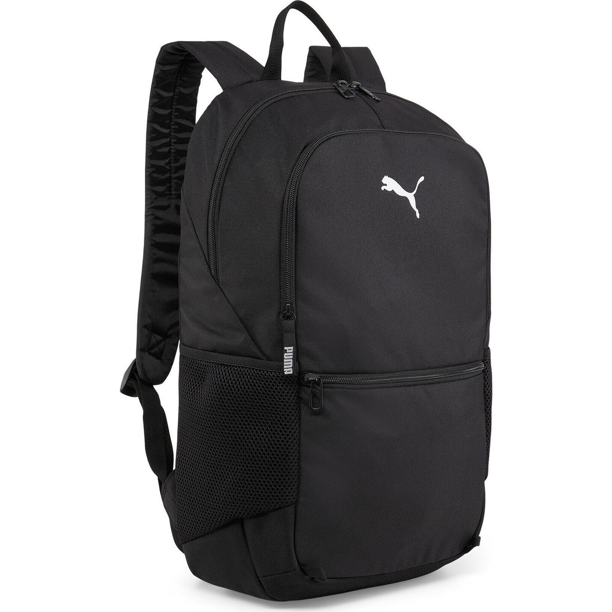 Puma Teamgoal Backpack With Ball net puma black (01) OSFA 090467-01-OSFA