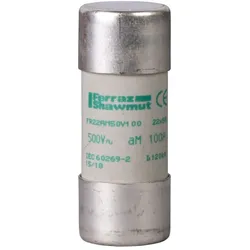 Schneider Electric Sicherungseinsatz NFC DF2FA100