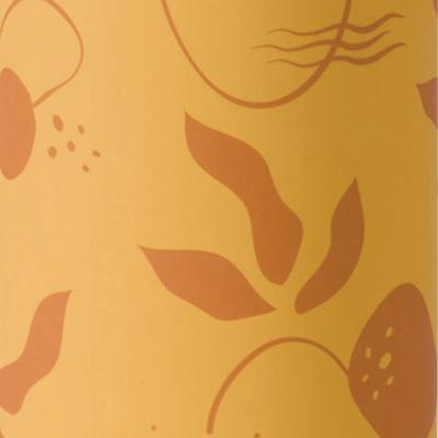 Saro Food Flask Thermos 16.9 fl oz.