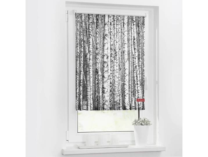 Klemmfix-Rollo Birken 80 x 150cm Schwarz