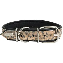 Barry King Obroża dla psa, CHEETAH, 30mm/65cm (Hund), Halsband + Leine