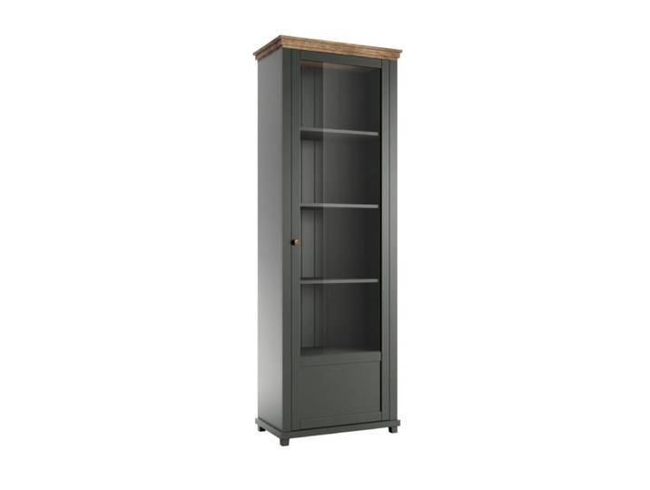Vitrine 1 porte ouverture droite verte et naturelle