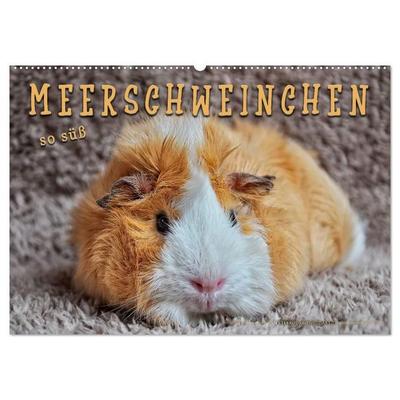 Meerschweinchen - so süß (Wandkalender 2027 DIN A2 quer), CALVENDO Monatskalender