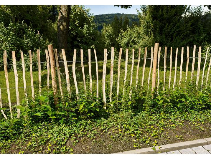 Staketenzaun KONIFERA Rollzaun Haselnuss, HxB: 120x500 oder 150x300 cm , braun (natur), H:150cm, Holzwerkstoff, Zaunelemente, Staketenzaun, für Abgrenzungen oder Einfassungen im Garten