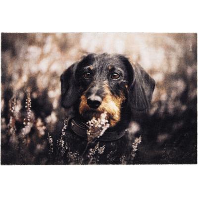 Fußmatte ASTRA "Deco Print 106", braun, B:40cm H:5mm L:60cm, Kunstfaser, Teppiche, Fußmatte, Sauberlaufmatte, Türmatte, waschbar, Eingangsbereich, rutschfest